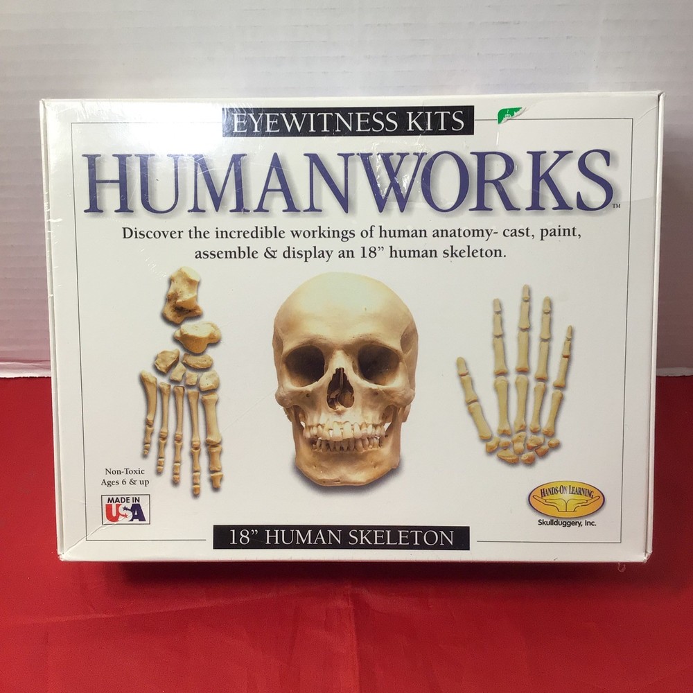 Eyewittness Kits Humanworks 18" Human Skeleton