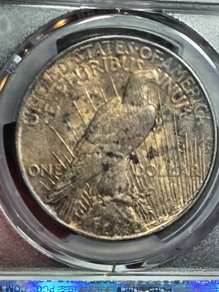 1925 $1 Peace Dollar PCGS MS63 Toned
