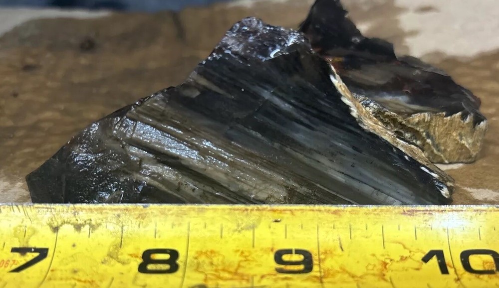 Silver Creek Junction Petrified Wood