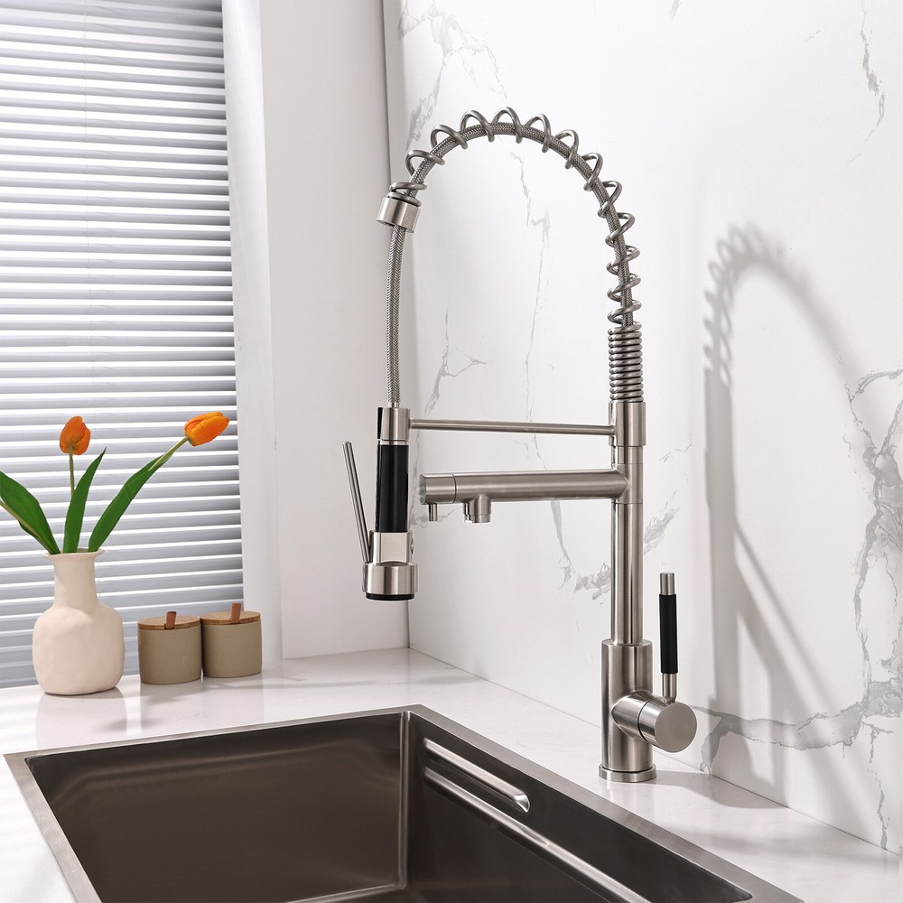 Kitchen Faucet Kit 2-Function Pull Down Sprayer Pot Filler w/Spring Spout