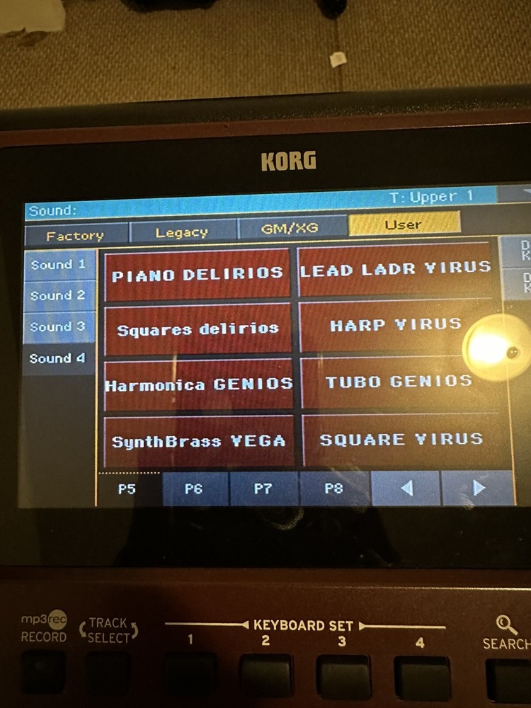 Samples Profesionales Para korg Pa 700,1000,4X. En Una USB (171 samples )