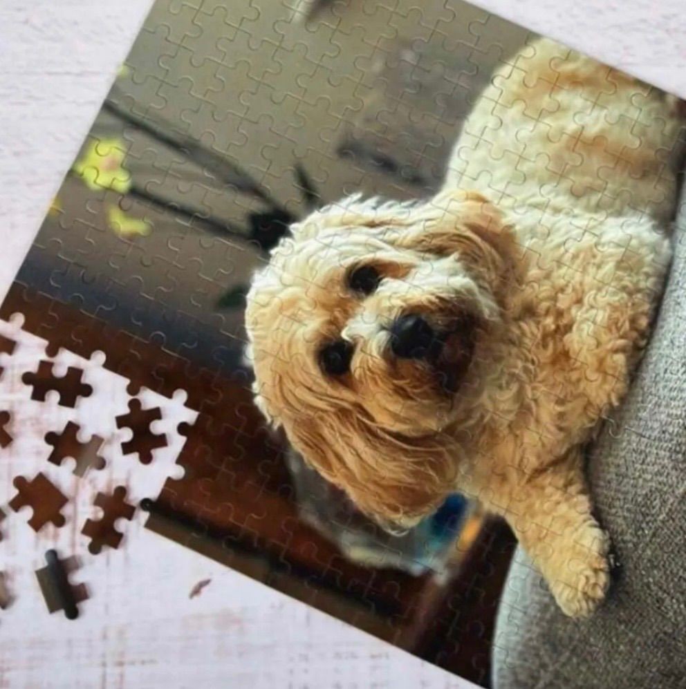 Original Photo Puzzle Jigsaw Puzzle 1000 Pieces