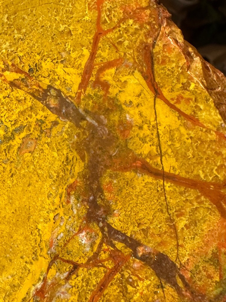 Beautiful Utah Yellowcat **hxtled agate.