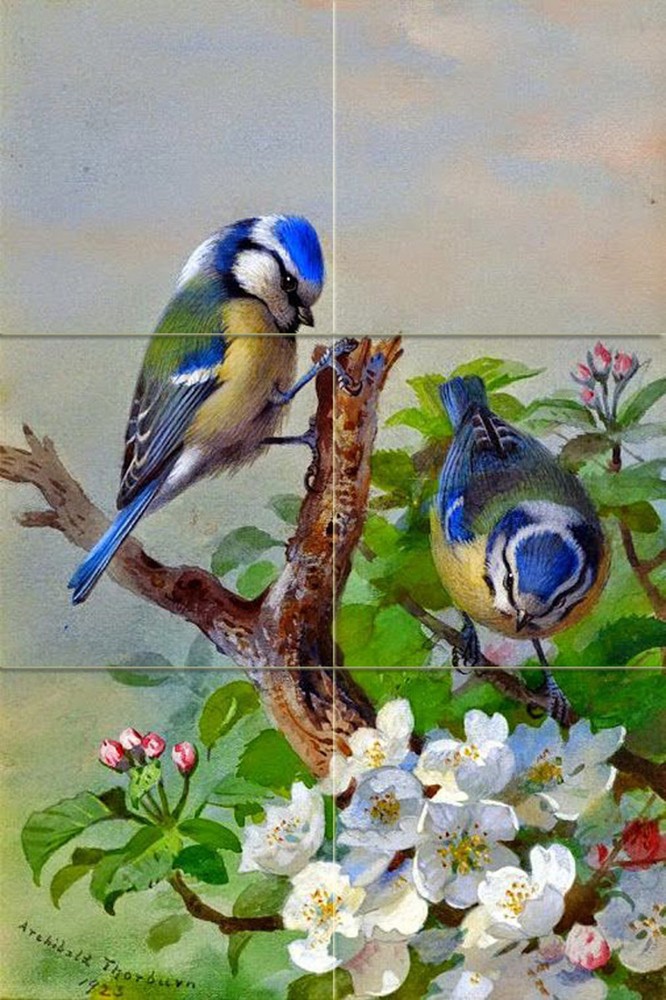 Titmouse on Tree Tile Mural Kitchen Bathroom Wall Backsplash 8.5x12.75 Ceramic