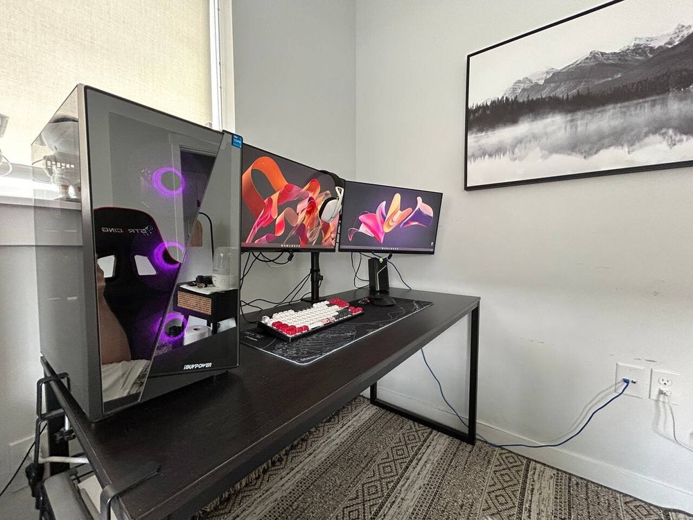 Gaming Setup (Desk included )