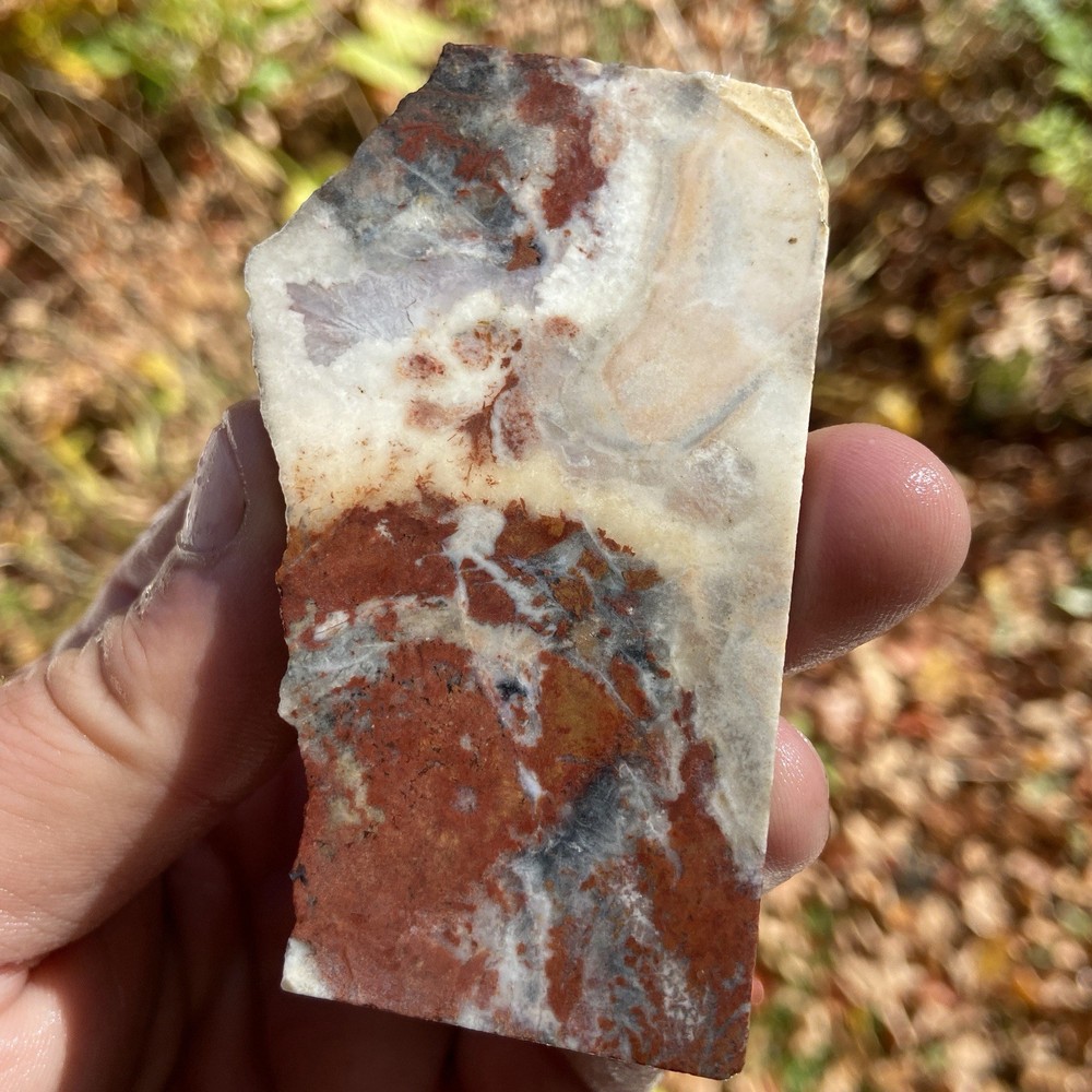 Vibrant Brecciated Jasper Slab 2 Oz