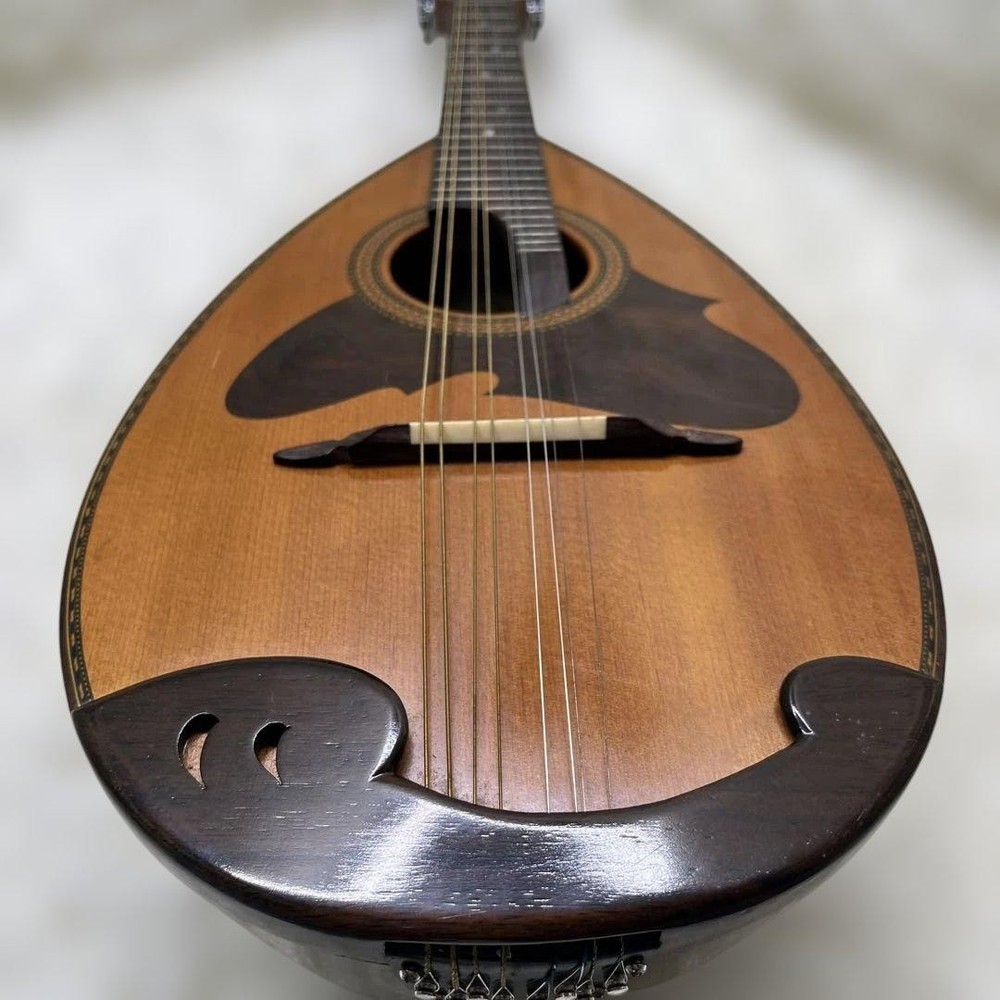 SUZUKI Mandolin M-218 1974
