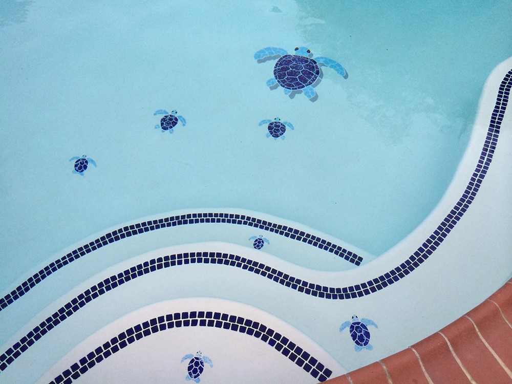 Turtle Group Ceramic Swimming Pool Mosaic