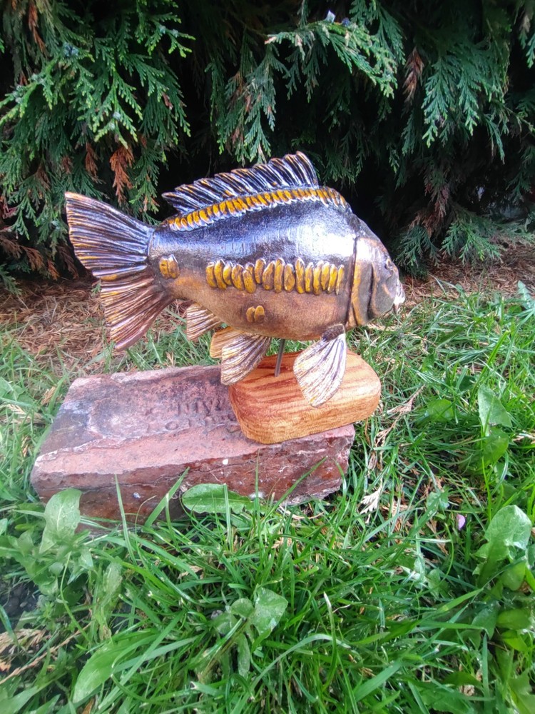 Carp Fishing, linear Carp Display, statue