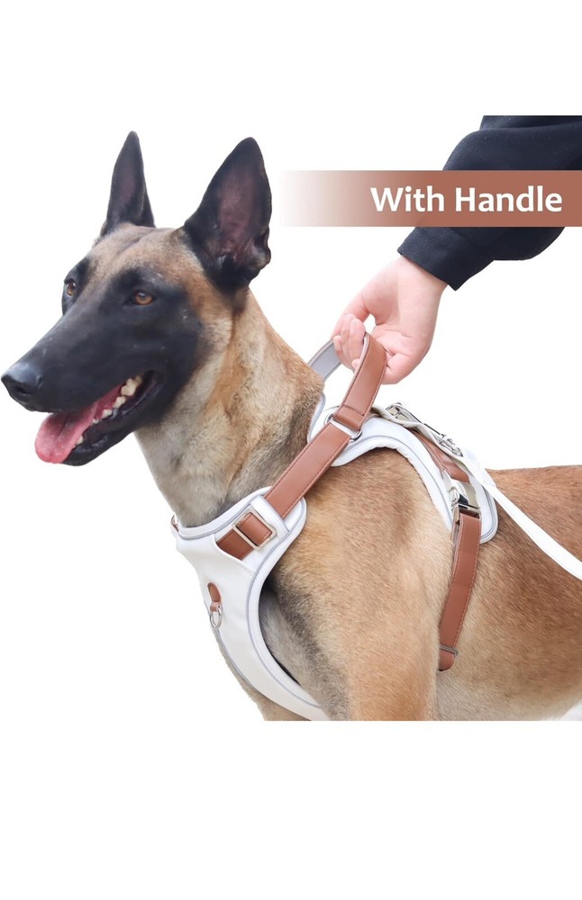 Lather Dog Harness