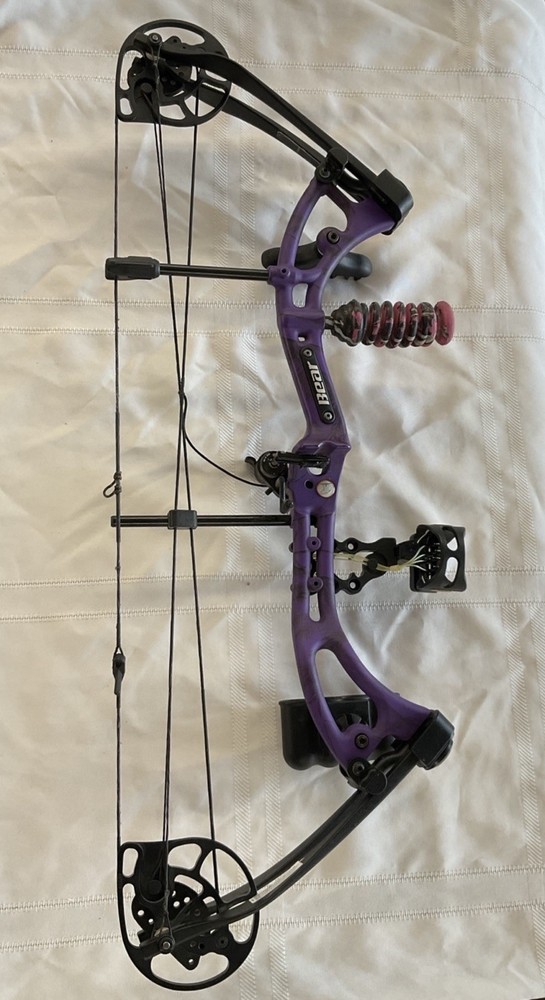 Bear Archery Apprentice lll Youth Compound