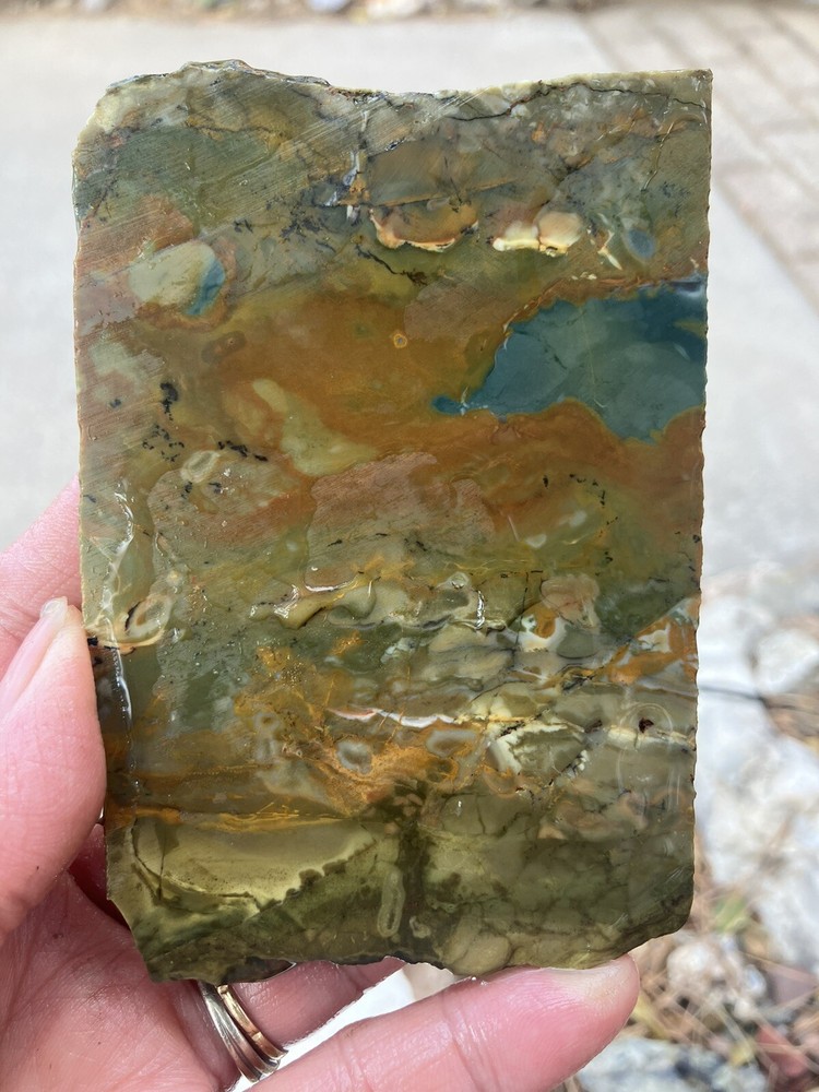 Oregon Jasper Slab