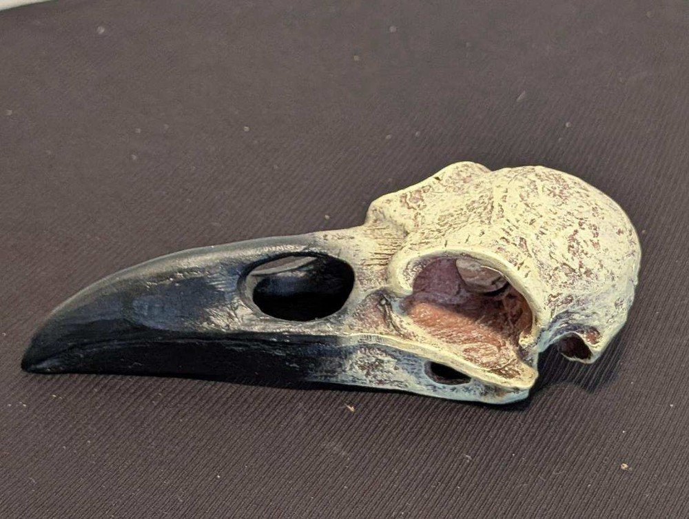 Gothic Raven Crow Skull Decor