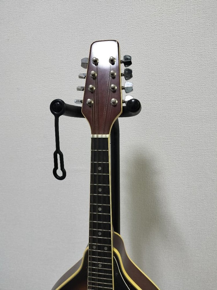 Samick Samick Mandolin sm20ts