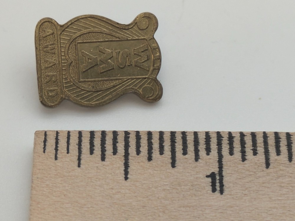 WSMA Award Lapel Pin