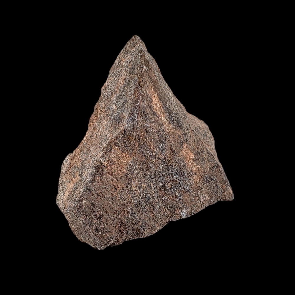 Jurassic Dinosaur Fossil Bone from Morrison Formation Includes Display