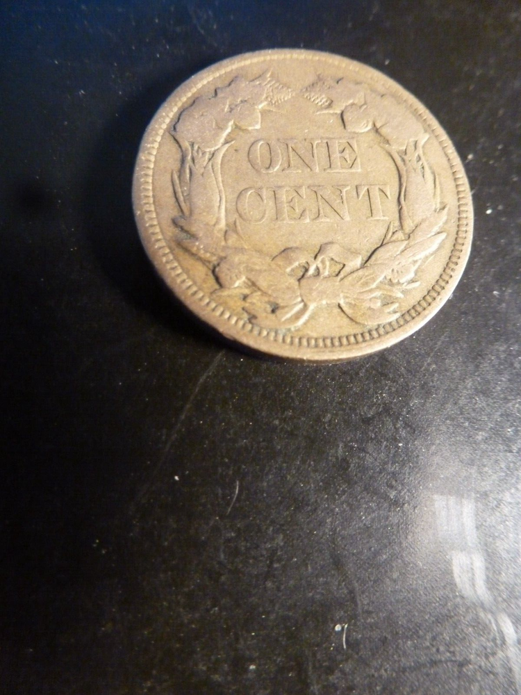 Flying Eagle Cent 1858 VG/VG+ #10