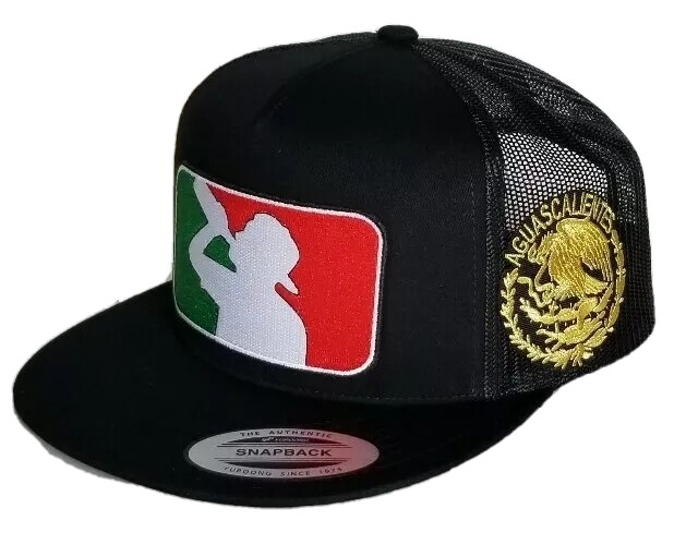 AGUASCALIENTES MEXICO   HAT MESH TRUCKER BLACK  SNAP BACK ADJUSTABL  NEW 2LOGOS
