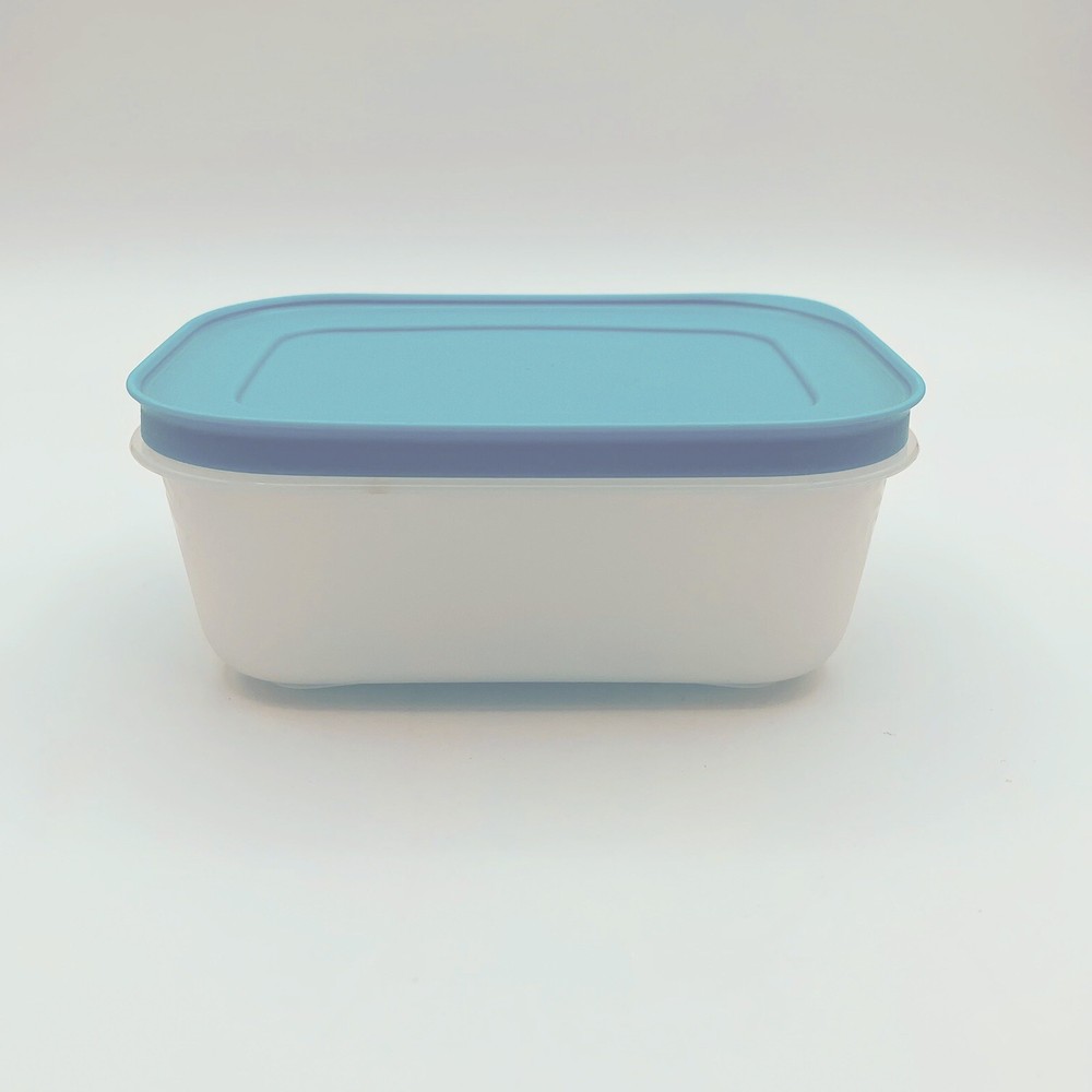 2 Plastic Tupperware Container for Freezer 450ml & 1.1 L Blue Covers