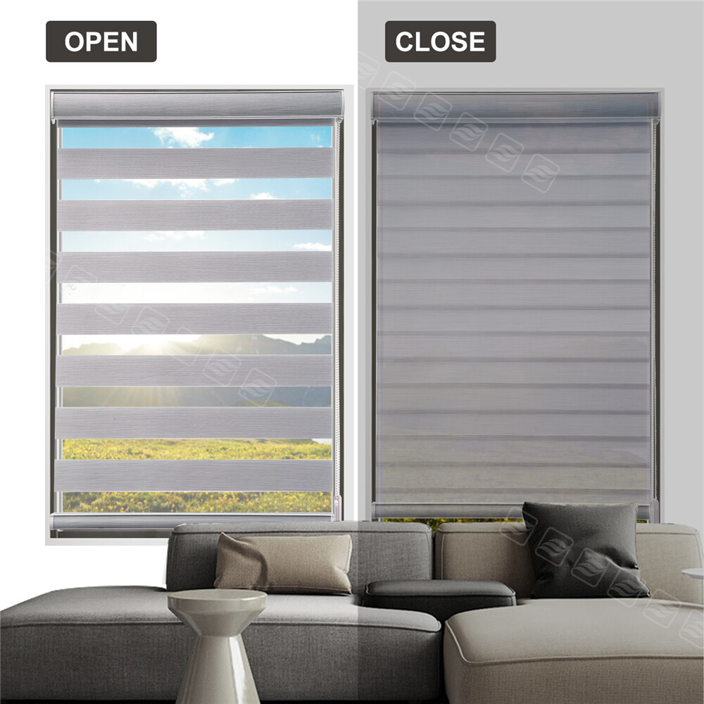 Changshade Custom Size Light Filtering Zebra Shades Dual Layer Roller Blinds