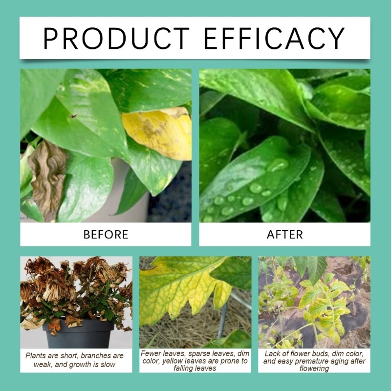 22pack Nutrient Rich Gardening Tablets Improves Soil Microorganism Activity