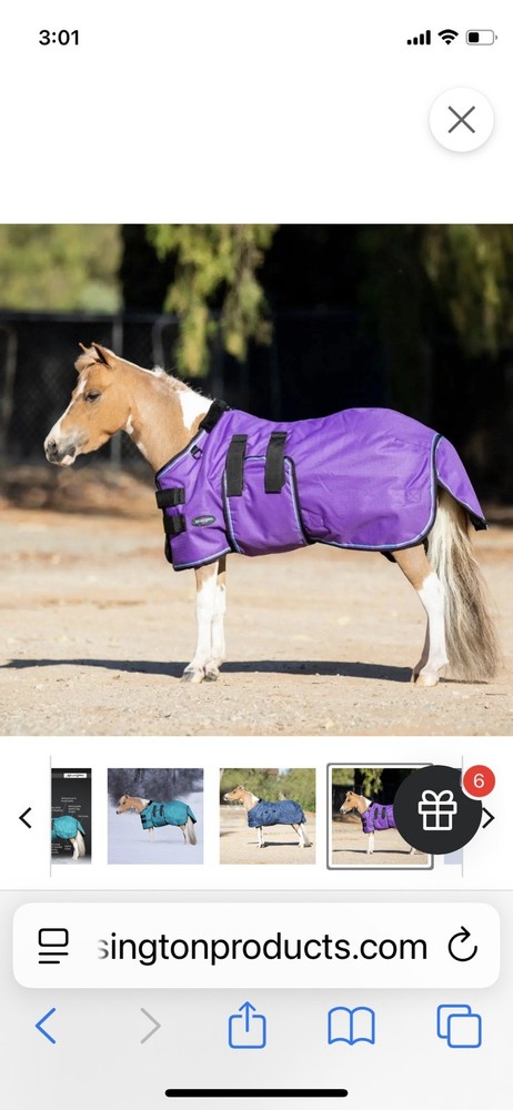 54 Kensington Pony/mini Turnout Blanket