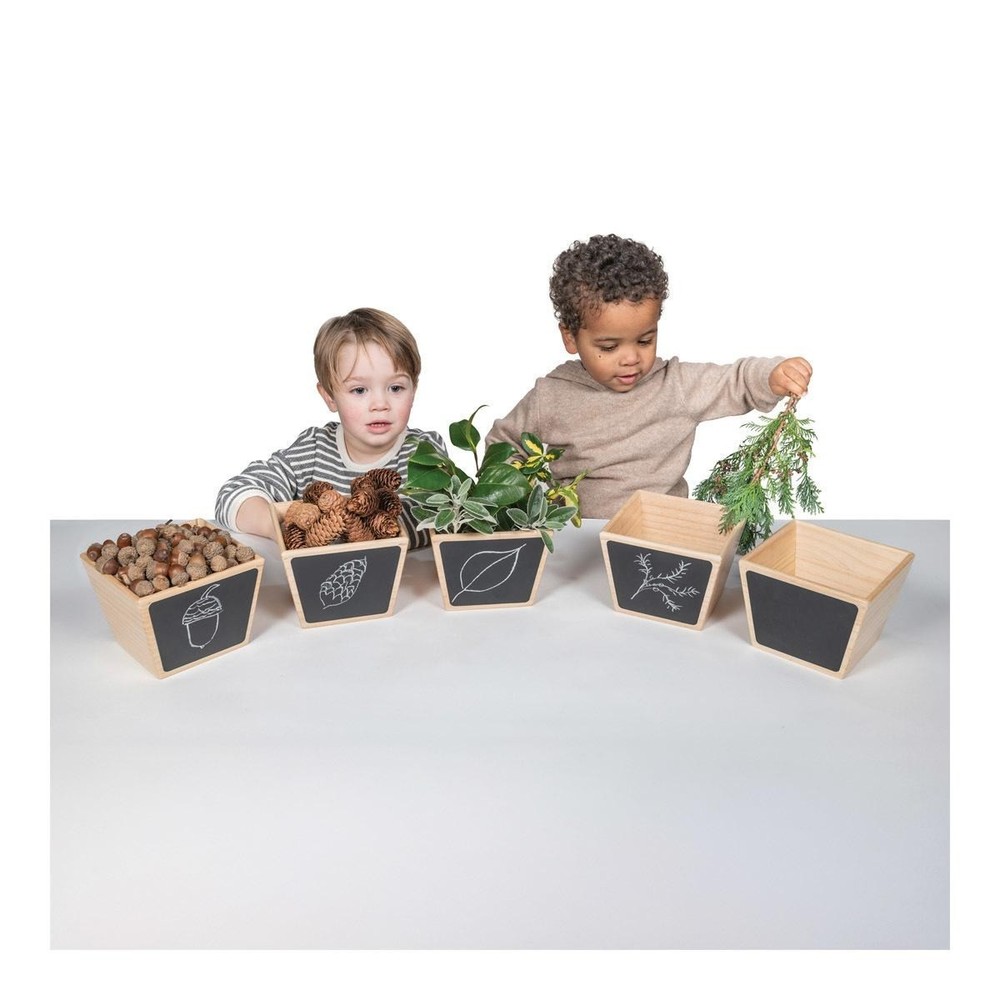 Polydron Wooden Sorting Pots - Set of 5