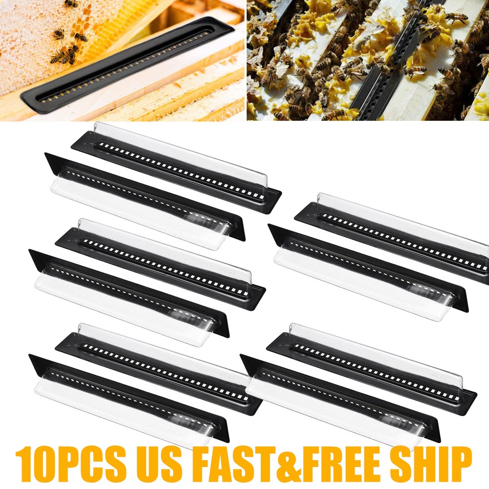 10pcs Plastic Small Bee Hive Beetle Blaster BeeHive Trap Beekeeping Tools EJ