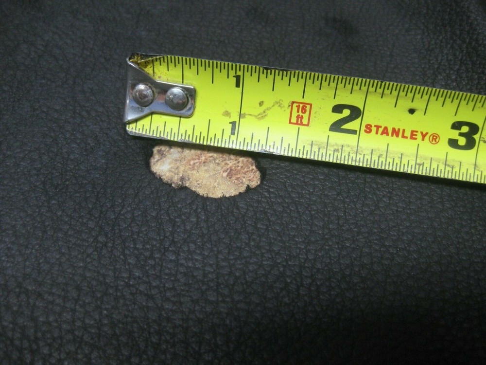 Top Grain Deer Leather # 0012308 Row 121