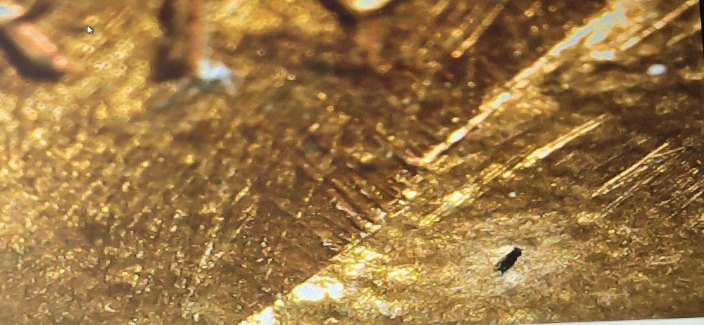 1983 Lincoln Cent. Check Out Pics! Nice Luster Too!