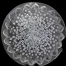 Lalique Roscoff Plate