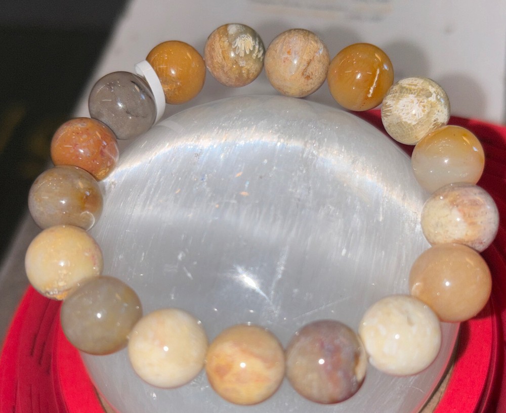 Fossilized Coral Bracelet 12 mm
