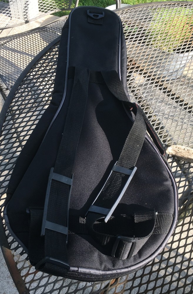 Roadrunner Mandolin Gig Bag