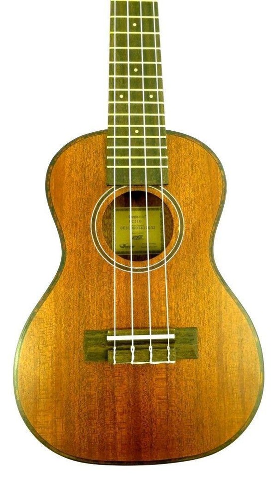 Journey UC310 - Solid Top Mahogany Concert Ukulele with Case