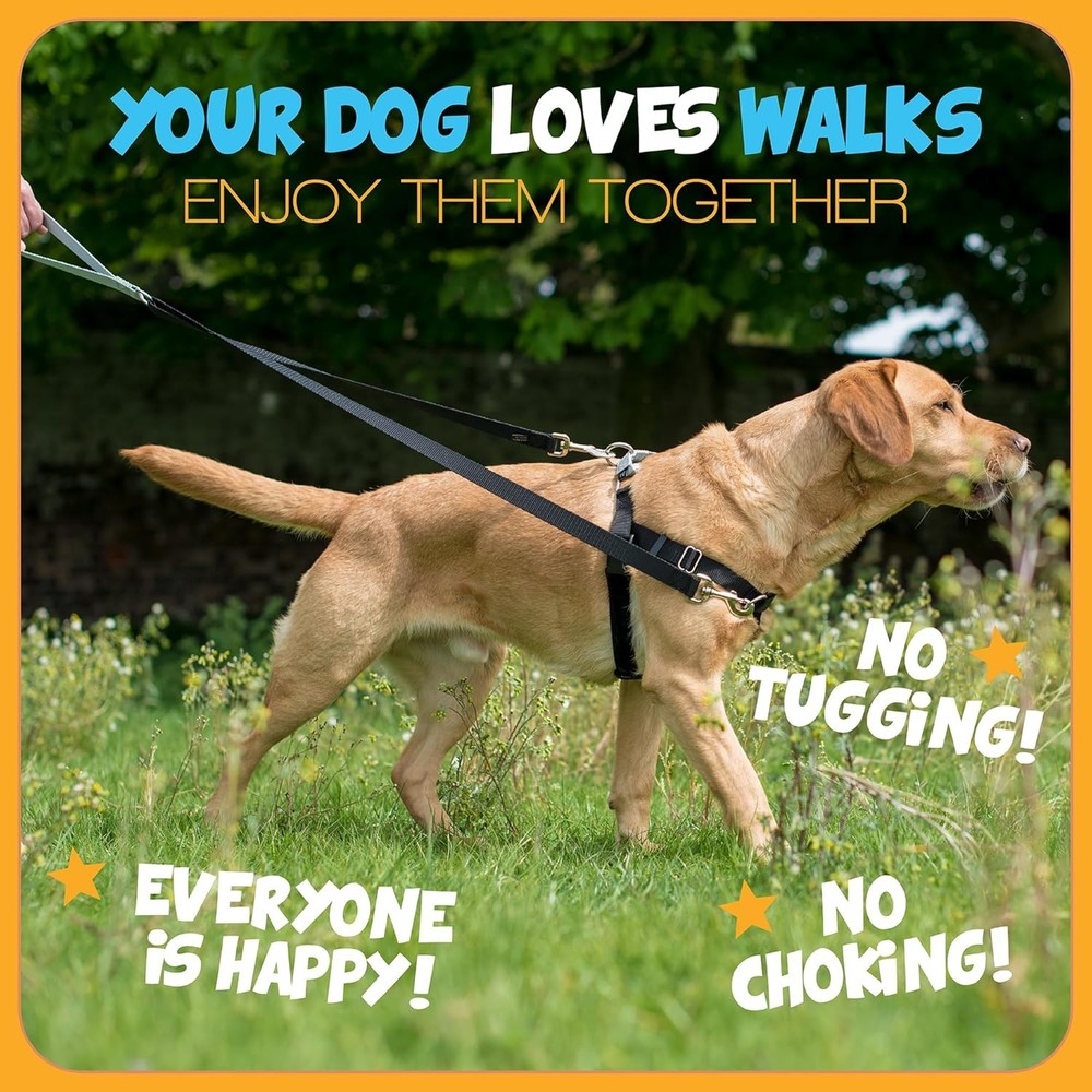 Freedom No Pull Dog Harness Adjustable Harness & Leash Set Easy Walking &