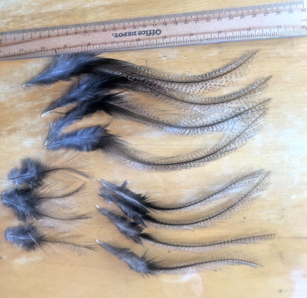 COQ DE LEON SADDLE FEATHERS - Medium Pardo - 12 Per Pack -- NEW!