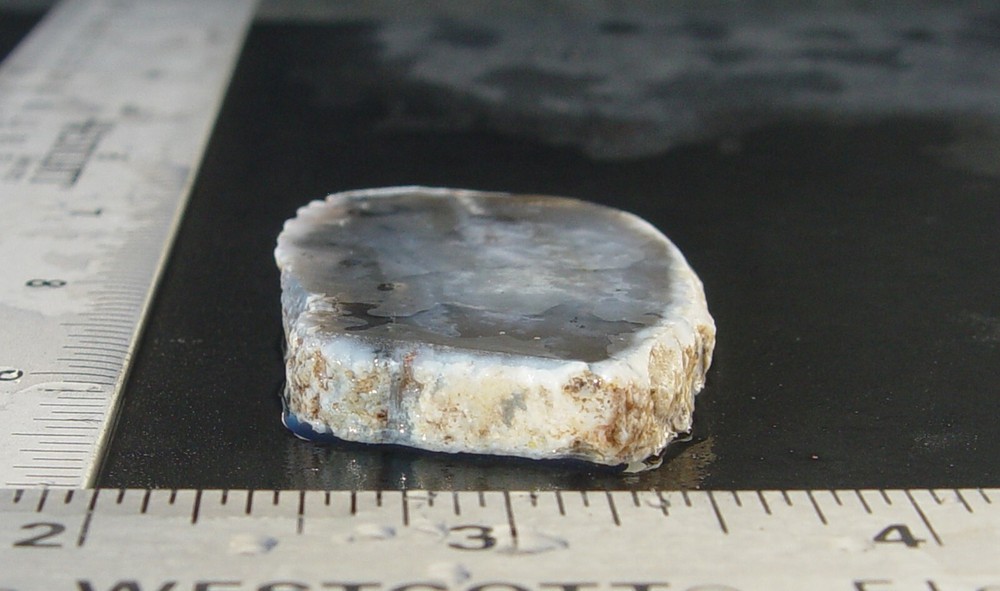 Dendritic Agate Lapidary Slab T967