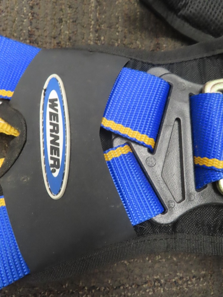 Notch Gecko - Tree Spikes -