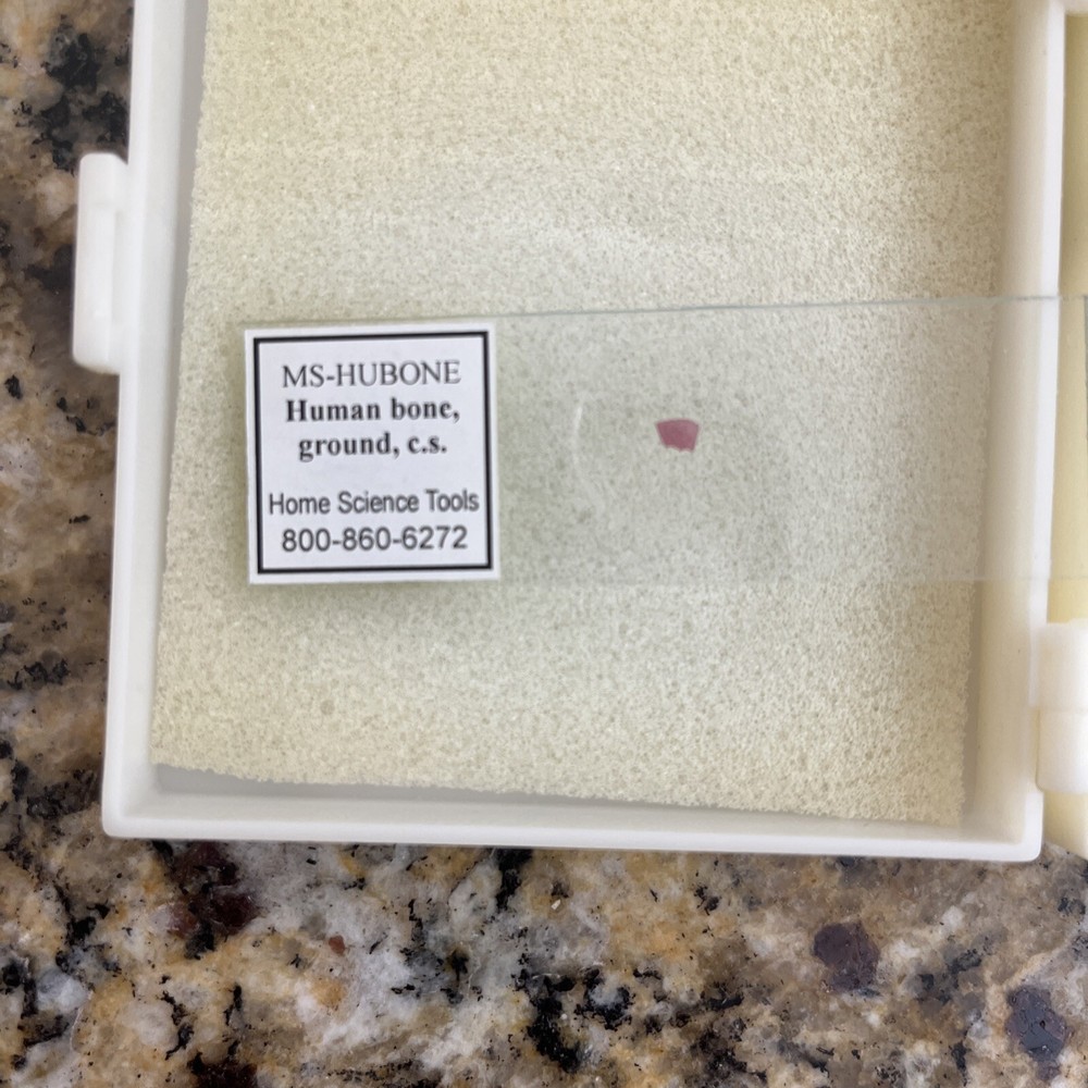 Learning Resources & Home Science Tools Lot Prepared & Blank Slides 60 Specimens