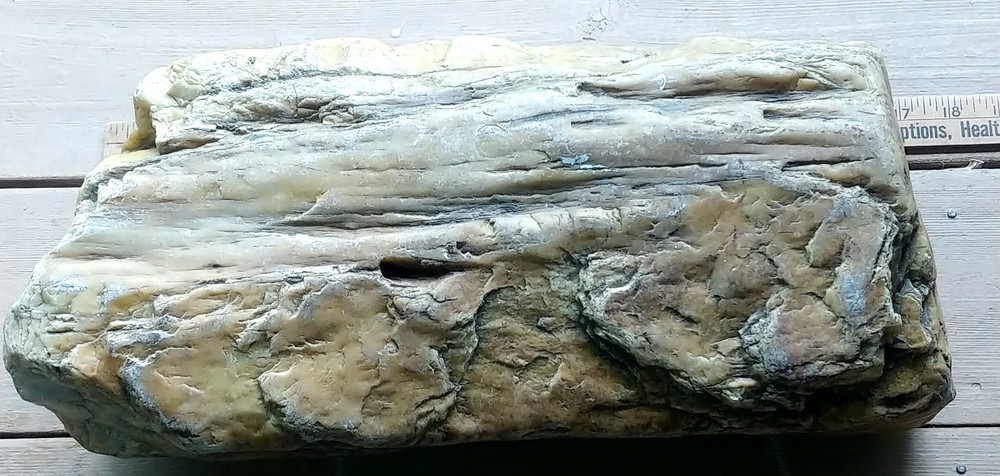 Petrified Wood or Rock