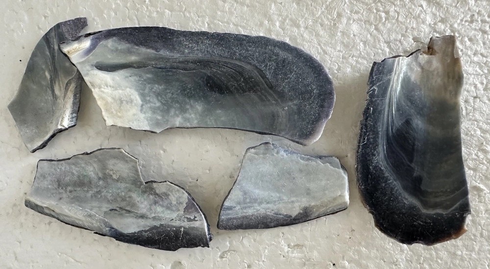 Natural Shell For Jewelry Inlay.