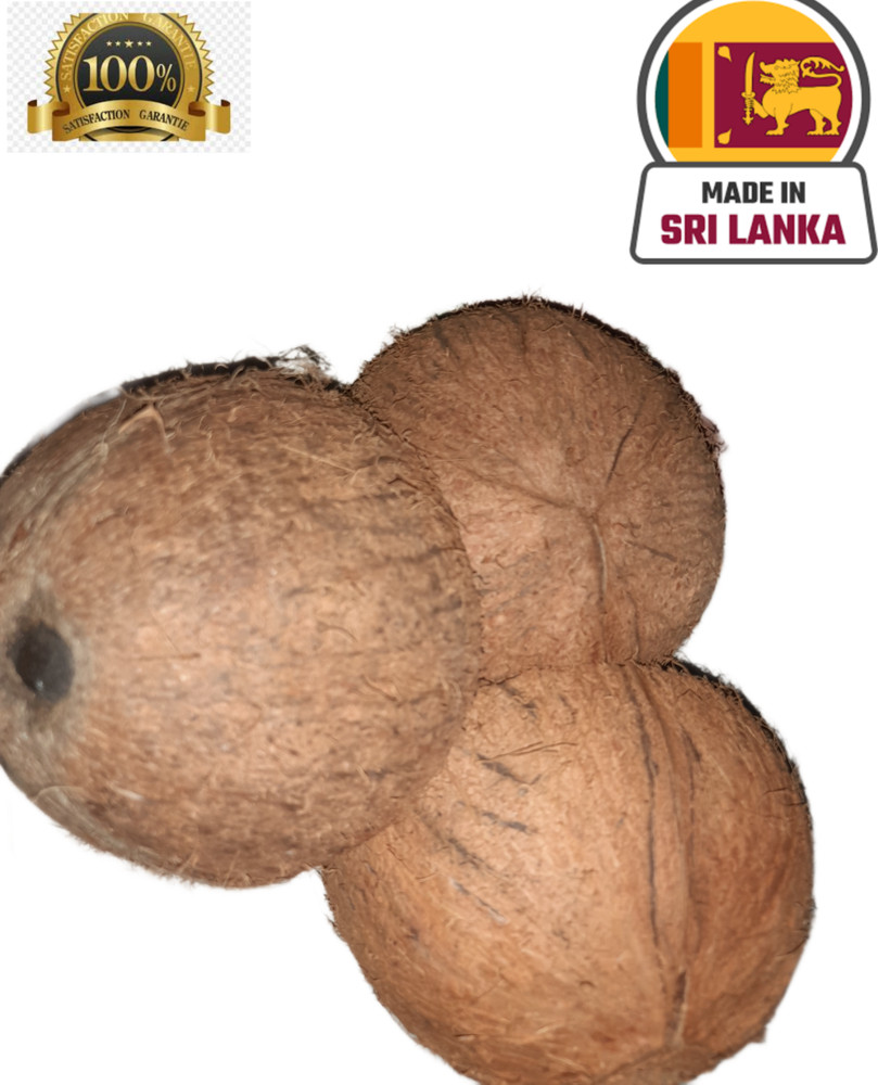 Coconut Shell Halves