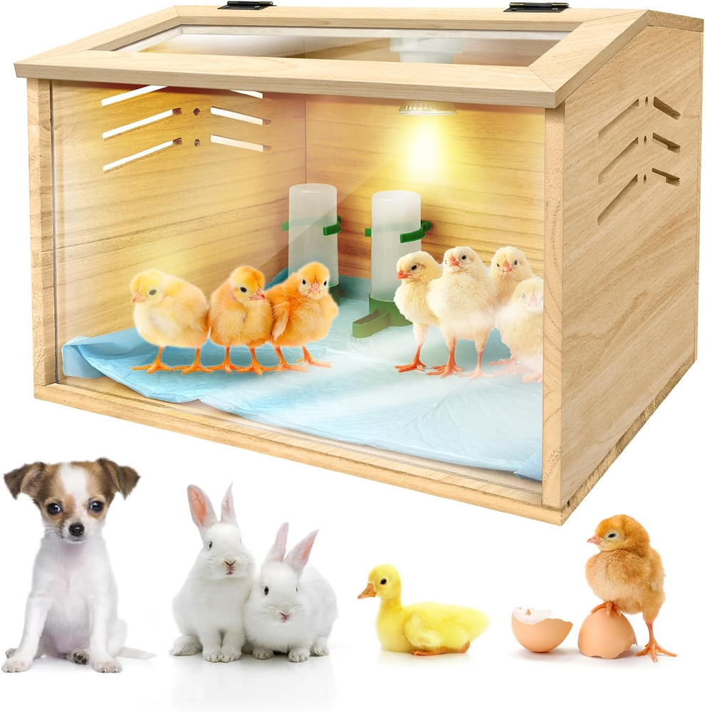 Chicken brooder BoxChick brooderbrooder Box for ChicksSmall Chicken coopB...