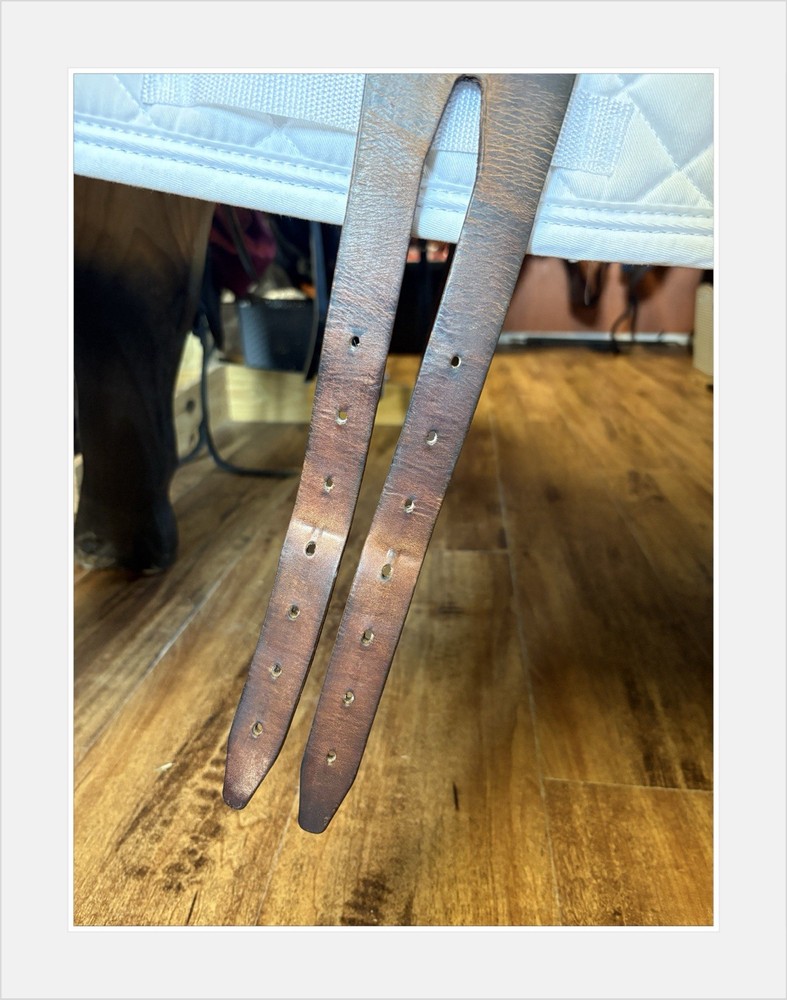 Arion C2 Event jump saddle. 17” MW