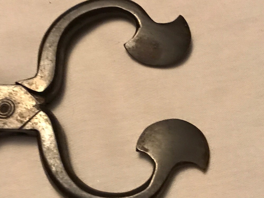 Vintage Cast Iron SURGAR SNIPS, Veterinarian Tool