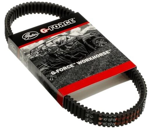 Belt