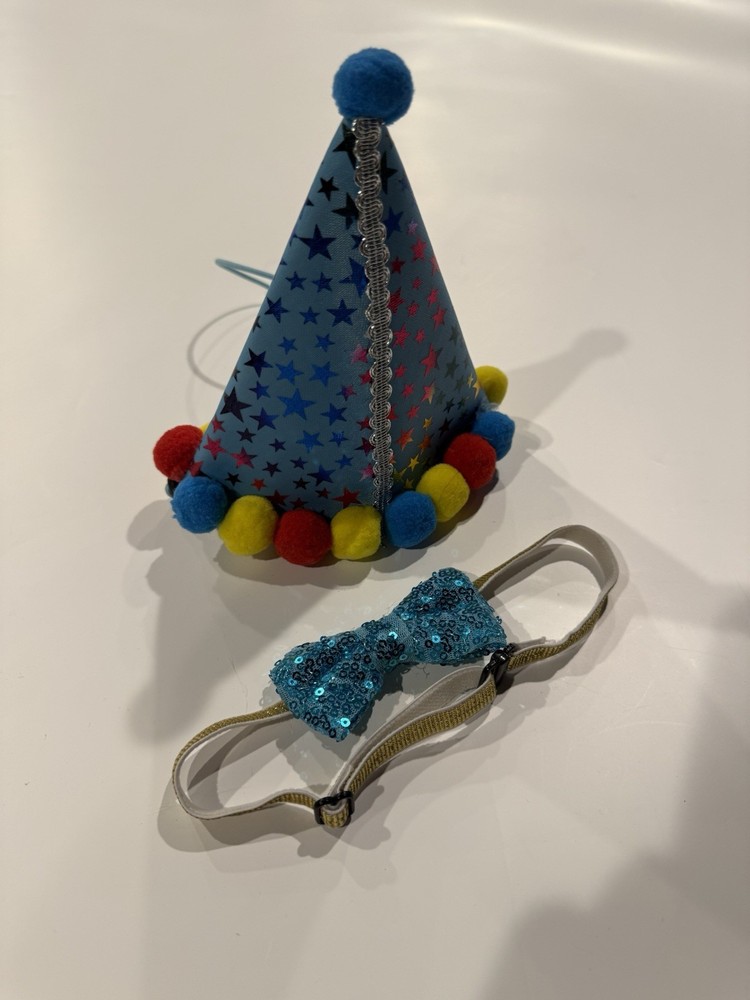 Animal Birthday Hat and Collar Set