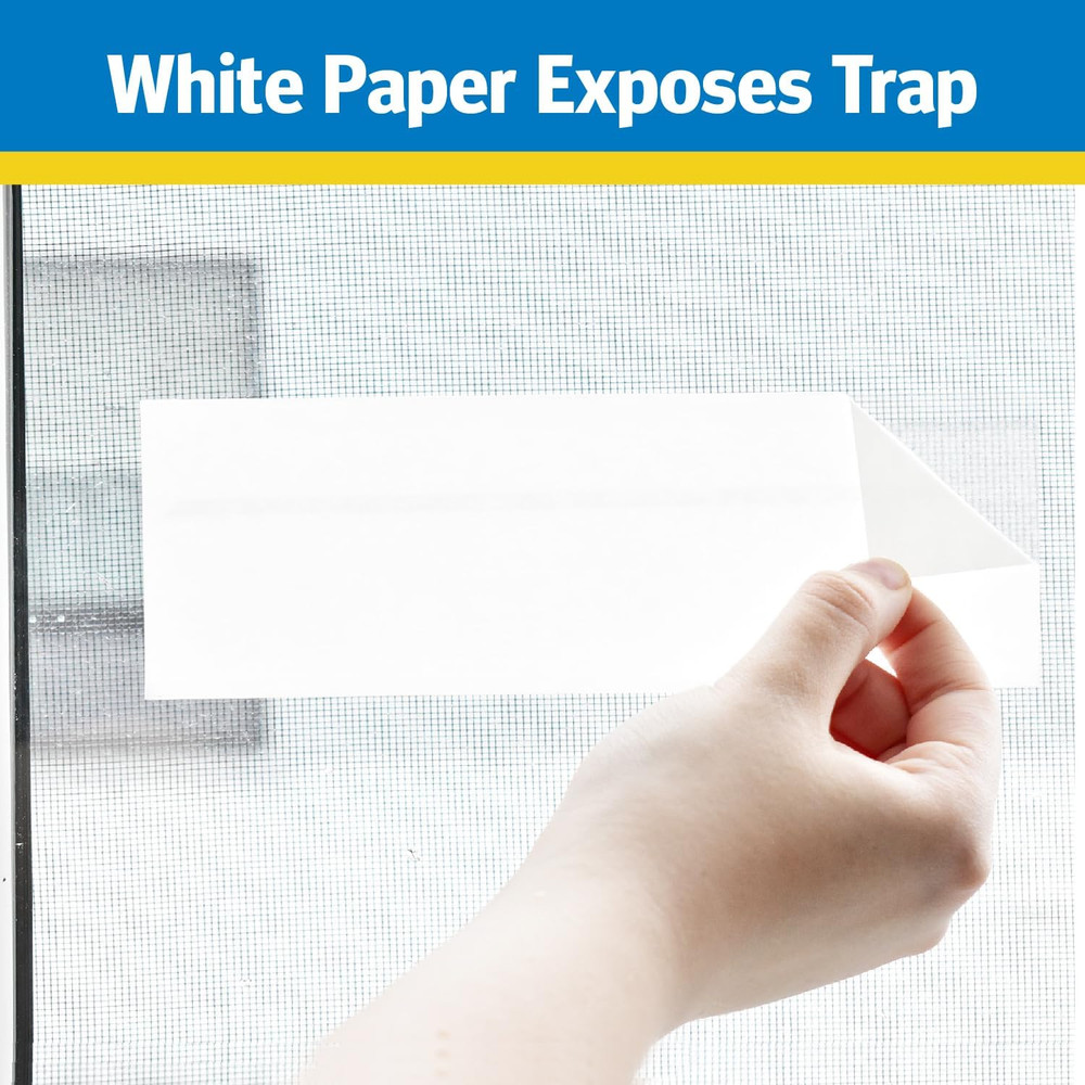 Window Fly Trap, 4 Count (12-Pack)