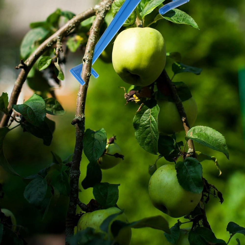 Fruit Tree Branch Spreader Set Adjustable Plastic Limb Support Gardening