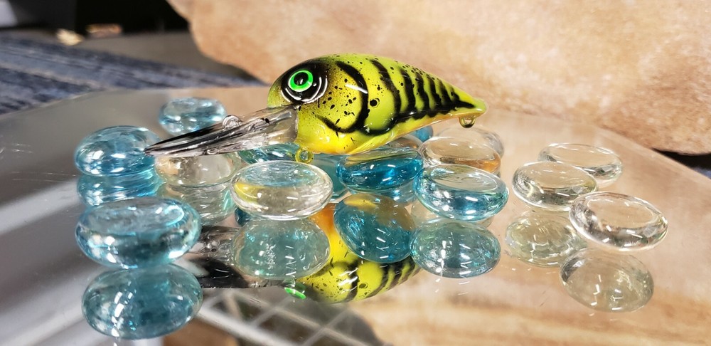 custom painted Wiggle wart crankbait (CRAW)